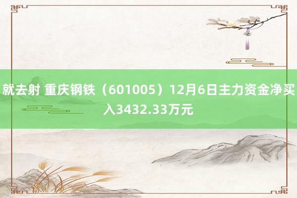 就去射 重庆钢铁（601005）12月6日主力资金净买入3432.33万元