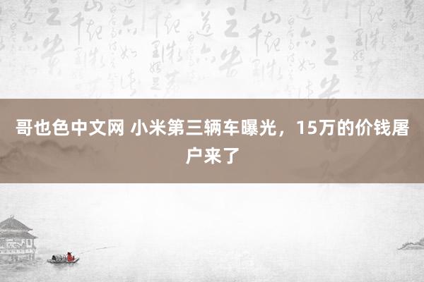 哥也色中文网 小米第三辆车曝光，15万的价钱屠户来了