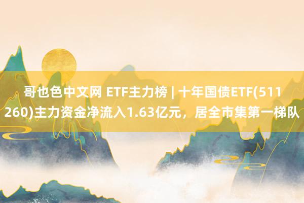 哥也色中文网 ETF主力榜 | 十年国债ETF(511260)主力资金净流入1.63亿元，居全市集第一梯队