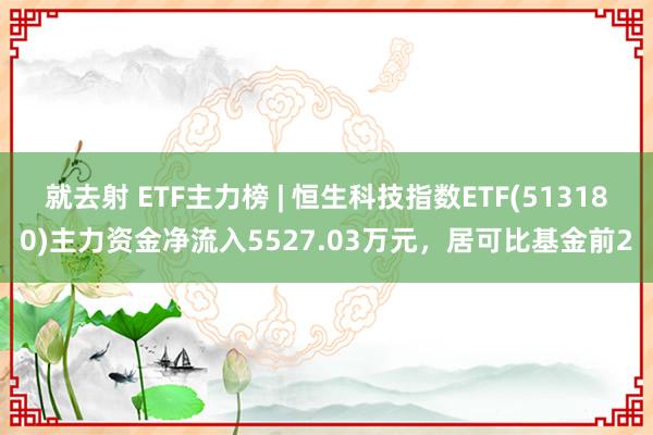 就去射 ETF主力榜 | 恒生科技指数ETF(513180)主力资金净流入5527.03万元，居可比基金前2