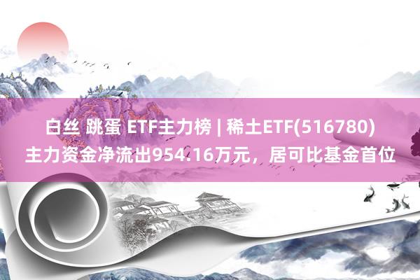 白丝 跳蛋 ETF主力榜 | 稀土ETF(516780)主力资金净流出954.16万元，居可比基金首位