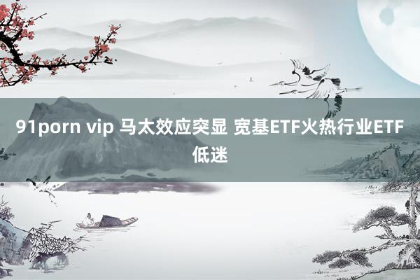 91porn vip 马太效应突显 宽基ETF火热行业ETF低迷