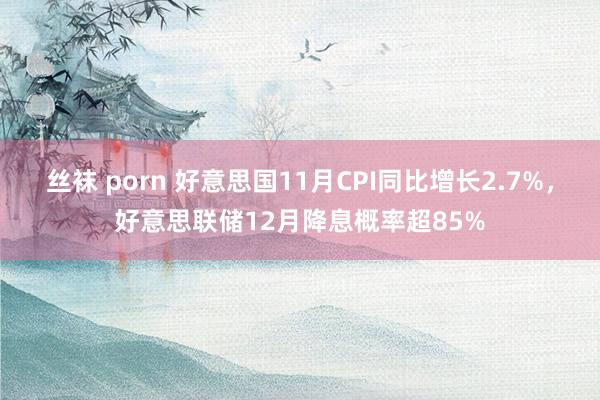 丝袜 porn 好意思国11月CPI同比增长2.7%，好意思联储12月降息概率超85%