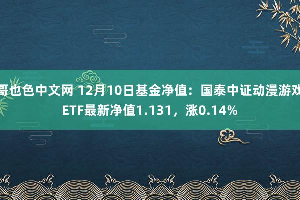 哥也色中文网 12月10日基金净值：国泰中证动漫游戏ETF最新净值1.131，涨0.14%