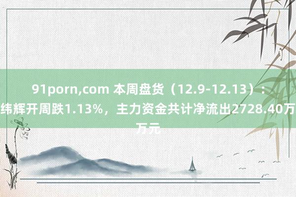 91porn，com 本周盘货（12.9-12.13）：经纬辉开周跌1.13%，主力资金共计净流出2728.40万元