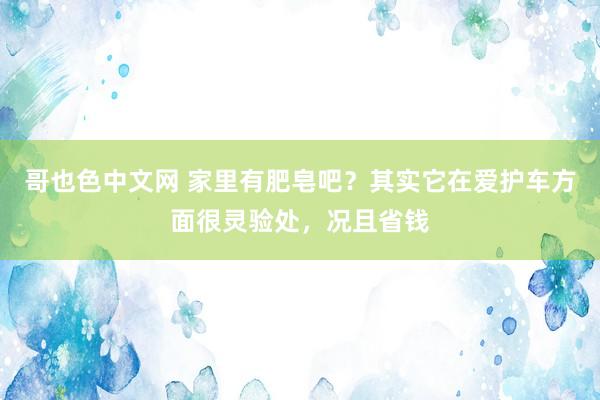 哥也色中文网 家里有肥皂吧？其实它在爱护车方面很灵验处，况且省钱