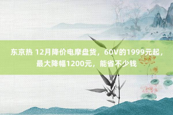 东京热 12月降价电摩盘货，60V的1999元起，最大降幅1200元，能省不少钱