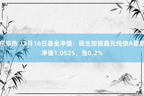 东京热 12月16日基金净值：民生加银鑫元纯债A最新净值1.0525，涨0.2%