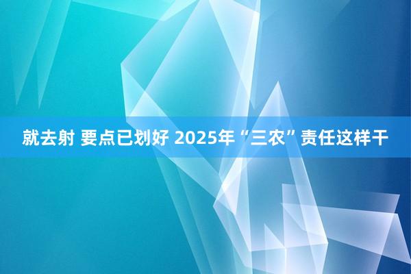 就去射 要点已划好 2025年“三农”责任这样干