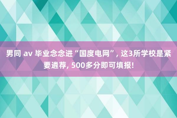 男同 av 毕业念念进“国度电网”， 这3所学校是紧要遴荐， 500多分即可填报!