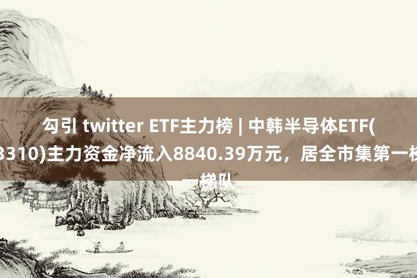 勾引 twitter ETF主力榜 | 中韩半导体ETF(513310)主力资金净流入8840.39万元，居全市集第一梯队