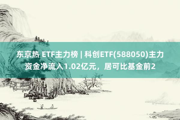 东京热 ETF主力榜 | 科创ETF(588050)主力资金净流入1.02亿元，居可比基金前2