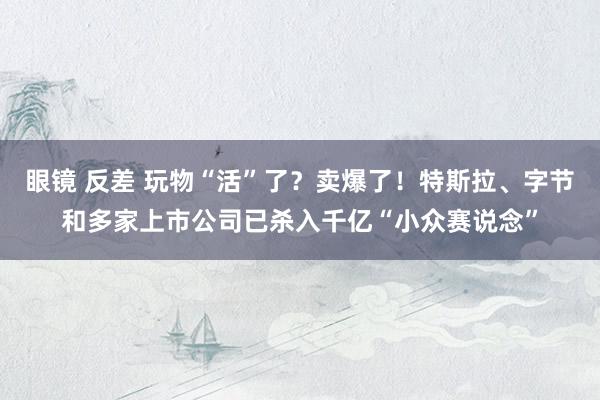 眼镜 反差 玩物“活”了？卖爆了！特斯拉、字节和多家上市公司已杀入千亿“小众赛说念”