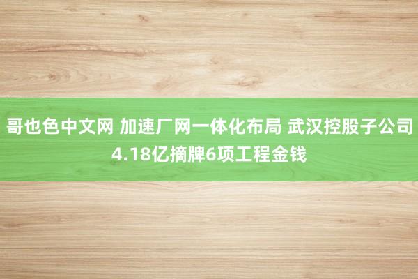 哥也色中文网 加速厂网一体化布局 武汉控股子公司4.18亿摘牌6项工程金钱