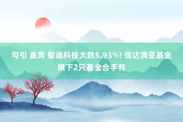 勾引 直男 智迪科技大跌5.93%! 信达澳亚基金旗下2只基金合手有