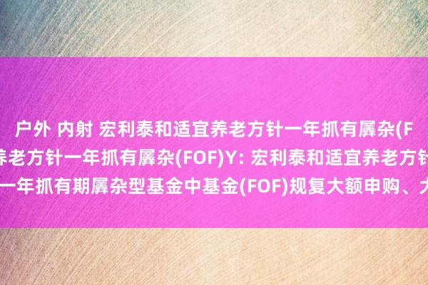 户外 内射 宏利泰和适宜养老方针一年抓有羼杂(FOF)A，宏利泰和适宜养老方针一年抓有羼杂(FOF)Y: 宏利泰和适宜养老方针一年抓有期羼杂型基金中基金(FOF)规复大额申购、大额如期定额投资业务的公告