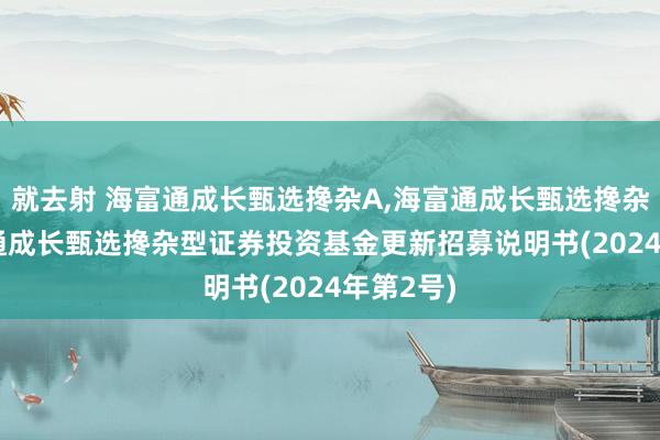 就去射 海富通成长甄选搀杂A，海富通成长甄选搀杂C: 海富通成长甄选搀杂型证券投资基金更新招募说明书(2024年第2号)