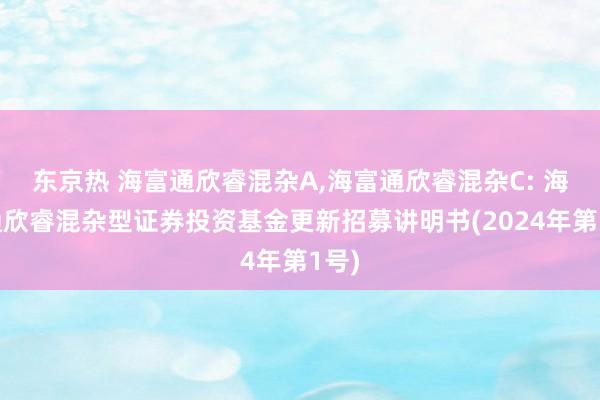 东京热 海富通欣睿混杂A，海富通欣睿混杂C: 海富通欣睿混杂型证券投资基金更新招募讲明书(2024年第1号)