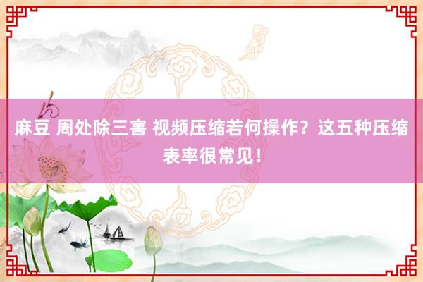 麻豆 周处除三害 视频压缩若何操作？这五种压缩表率很常见！