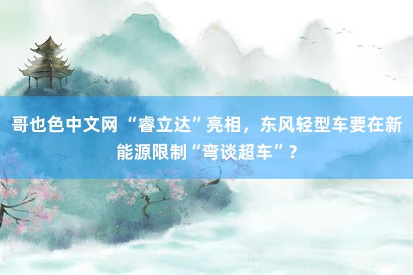 哥也色中文网 “睿立达”亮相，东风轻型车要在新能源限制“弯谈超车”？