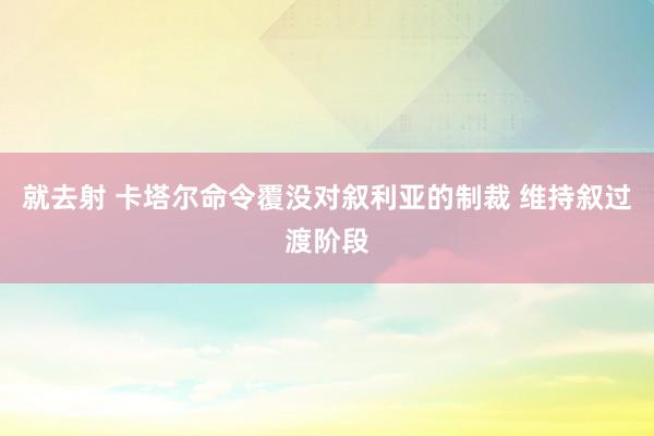 就去射 卡塔尔命令覆没对叙利亚的制裁 维持叙过渡阶段