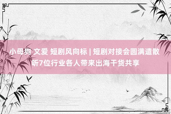 小母狗 文爱 短剧风向标 | 短剧对接会圆满遣散 听7位行业各人带来出海干货共享