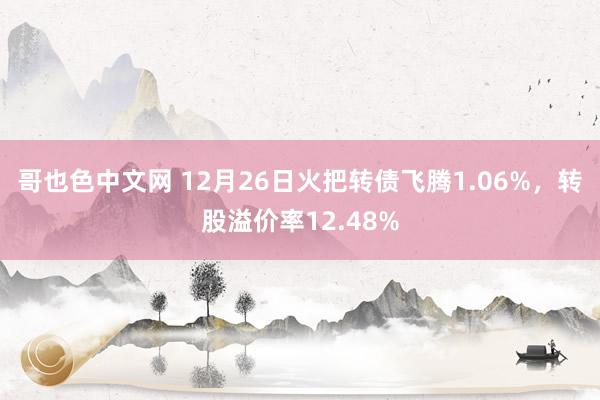 哥也色中文网 12月26日火把转债飞腾1.06%，转股溢价率12.48%