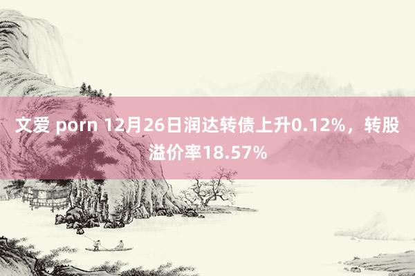 文爱 porn 12月26日润达转债上升0.12%，转股溢价率18.57%