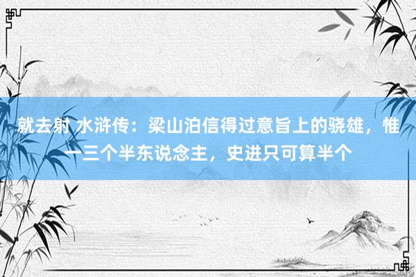 就去射 水浒传：梁山泊信得过意旨上的骁雄，惟一三个半东说念主，史进只可算半个