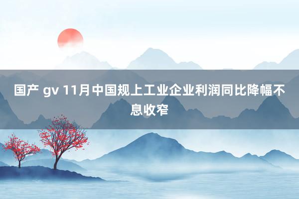 国产 gv 11月中国规上工业企业利润同比降幅不息收窄