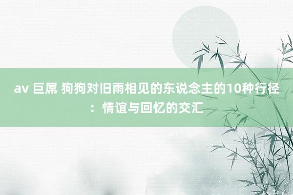 av 巨屌 狗狗对旧雨相见的东说念主的10种行径：情谊与回忆的交汇