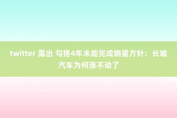 twitter 露出 勾搭4年未能完成销量方针：长城汽车为何涨不动了