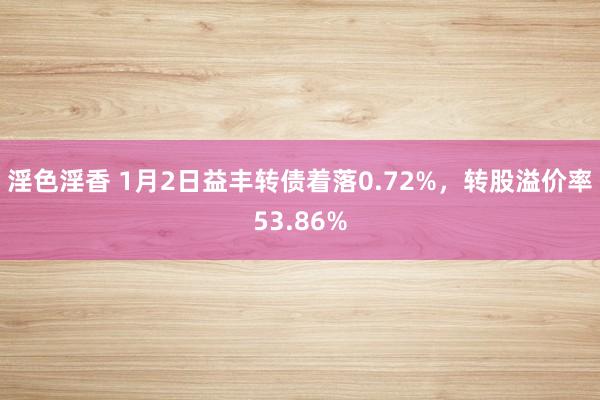 淫色淫香 1月2日益丰转债着落0.72%，转股溢价率53.86%