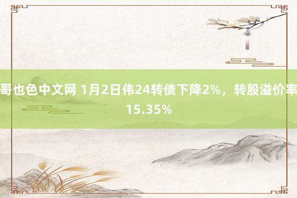 哥也色中文网 1月2日伟24转债下降2%，转股溢价率15.35%