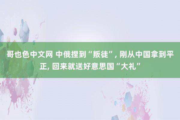 哥也色中文网 中俄捏到“叛徒”， 刚从中国拿到平正， 回来就送好意思国“大礼”