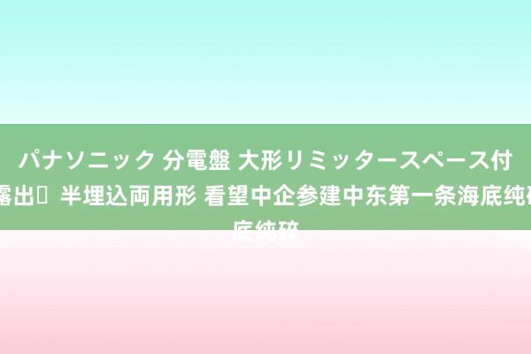 パナソニック 分電盤 大形リミッタースペース付 露出・半埋込両用形 看望中企参建中东第一条海底纯碎