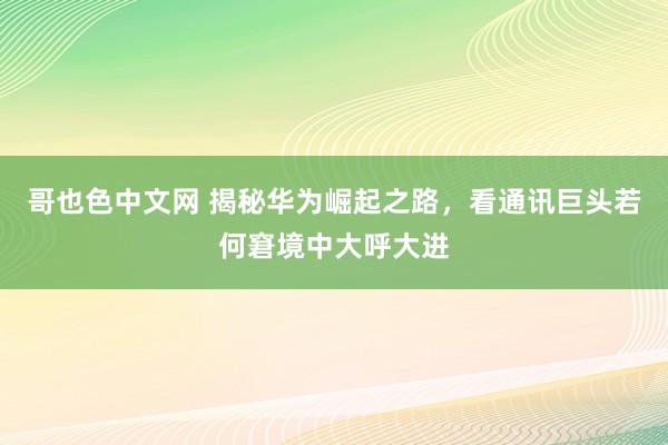 哥也色中文网 揭秘华为崛起之路，看通讯巨头若何窘境中大呼大进