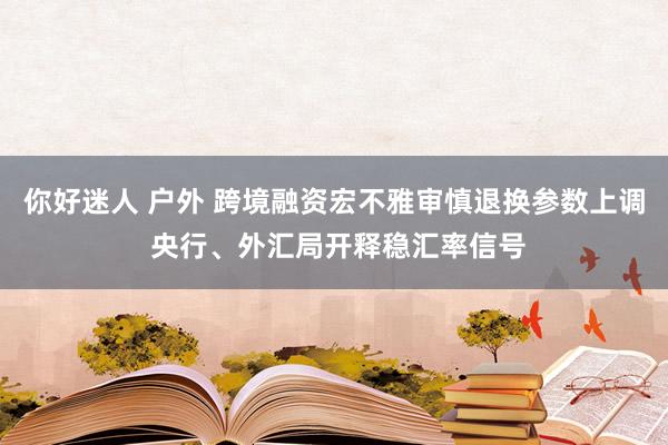 你好迷人 户外 跨境融资宏不雅审慎退换参数上调 央行、外汇局开释稳汇率信号